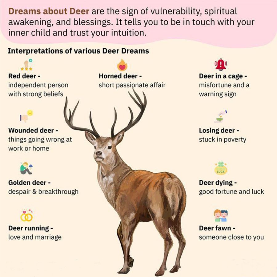 The Symbolic Meaning of Deer Sculptures in World Culture - Blog - 7 Deer in Dream Meaning