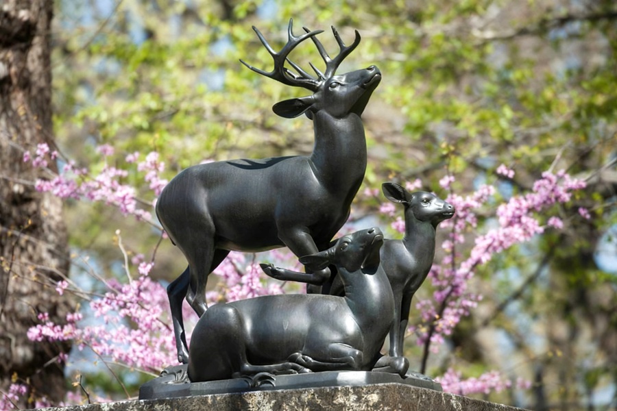 The Symbolic Meaning of Deer Sculptures in World Culture - Blog - 8 Deer sculptures in Central Park