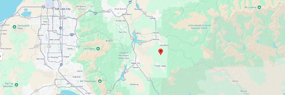 Fighting Bull Elk Address