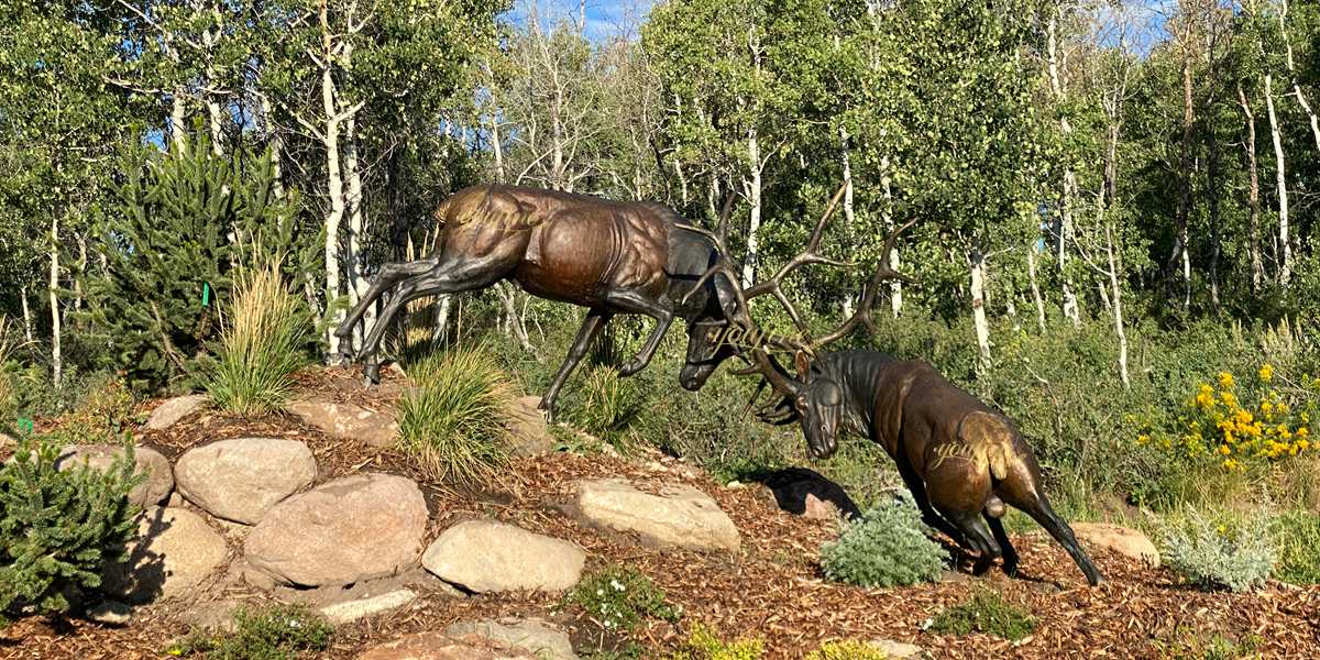 Fighting Elk Statue in Summer