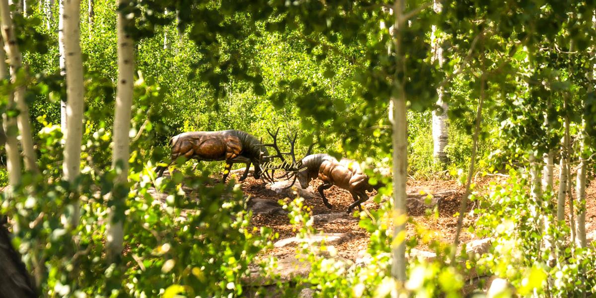 Fighting Elks in Midsummer