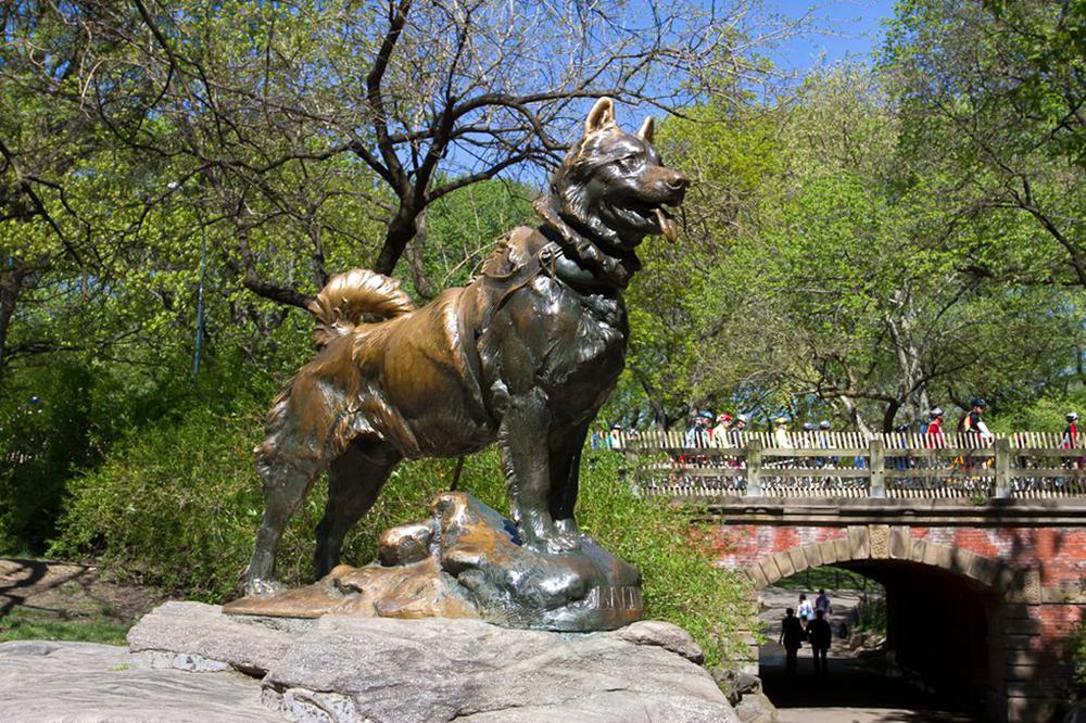 Top 10 Most Popular Bronze Sculptures in Central Park - Blog - 5 famous Balto statue