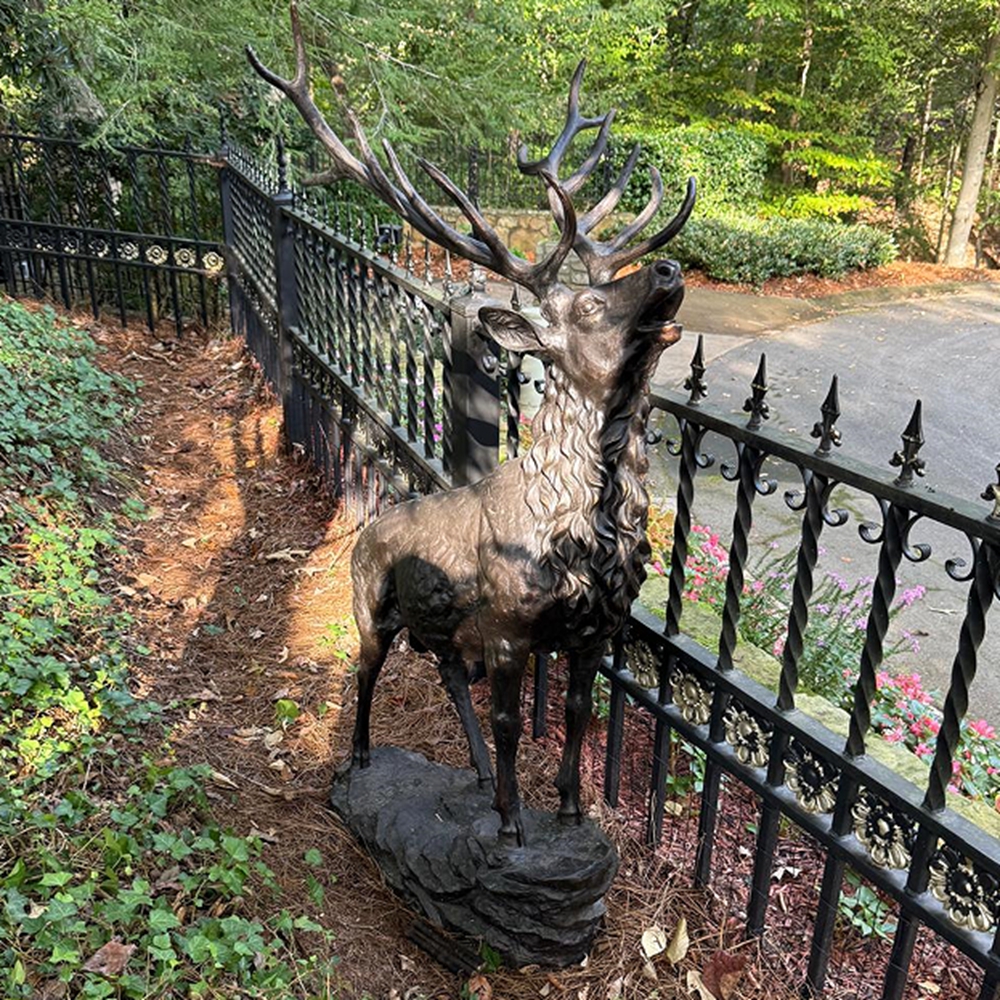 bronze deer statue Bronze Deer Behind the House garden