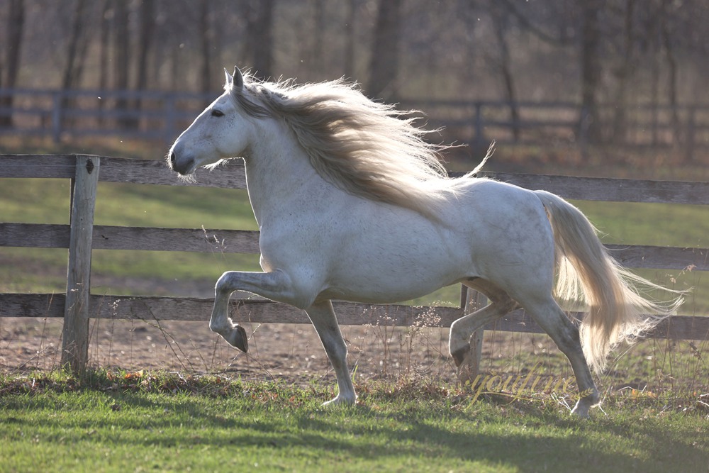 How Are Bronze Statues Made? - Blog - 1 rearing horse statue design