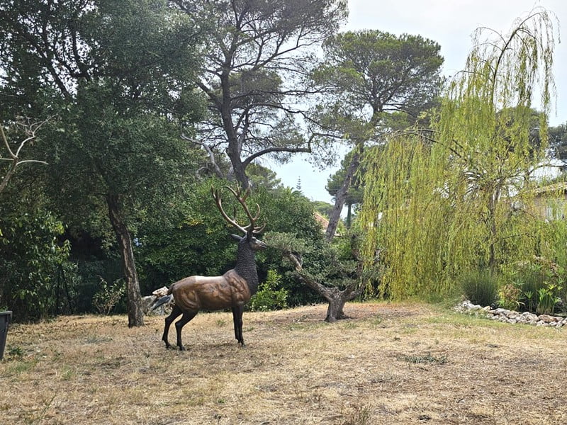 How to maintain your outdoor bronze elk statue for decades