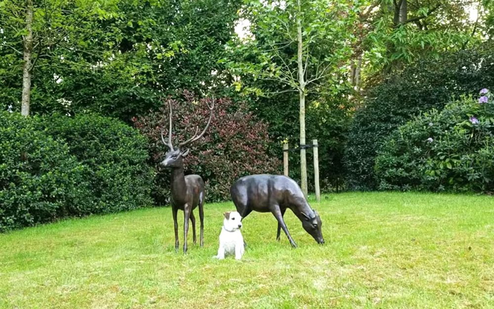 Bronze deer statues in garden setting