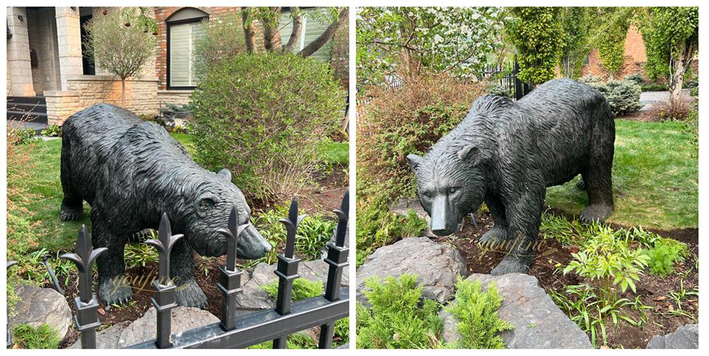 Black Bear feedback